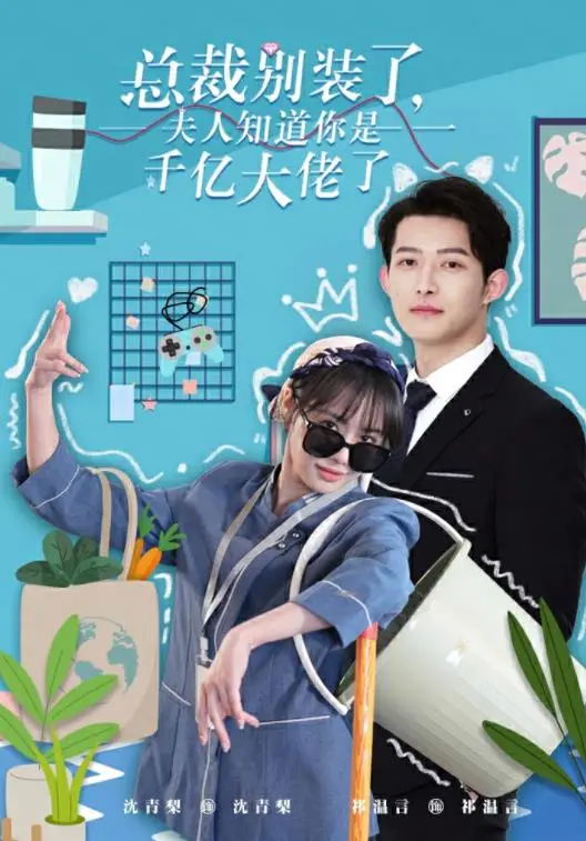 总裁的千亿秘密：夫人揭露大佬的浪漫喜剧