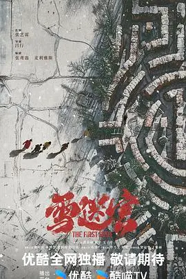 《雪迷宫》影评：冰封的真相，人性的挣扎与救赎