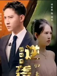 逆袭刘公子归来 海报