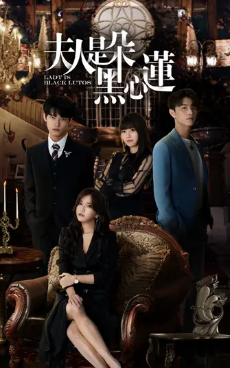 腹黑女主的逆袭之路：《夫人是朵黑心莲》